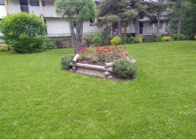 Montagne verte entretien jardins sur l'Argentière la Bessée