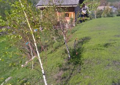 Montagne verte-Entretien d'espaces verts à proximité de Briançon