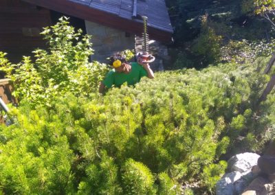 Entretien jardin sur l'Argentière la Bessée