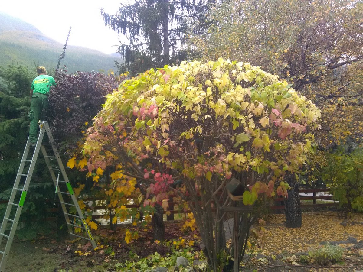 Entretien de jardin-Montagne verte vers Embrun