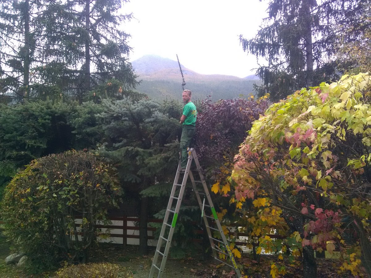 Entretien de jardins-Montagne verte à proximité d'Embrun