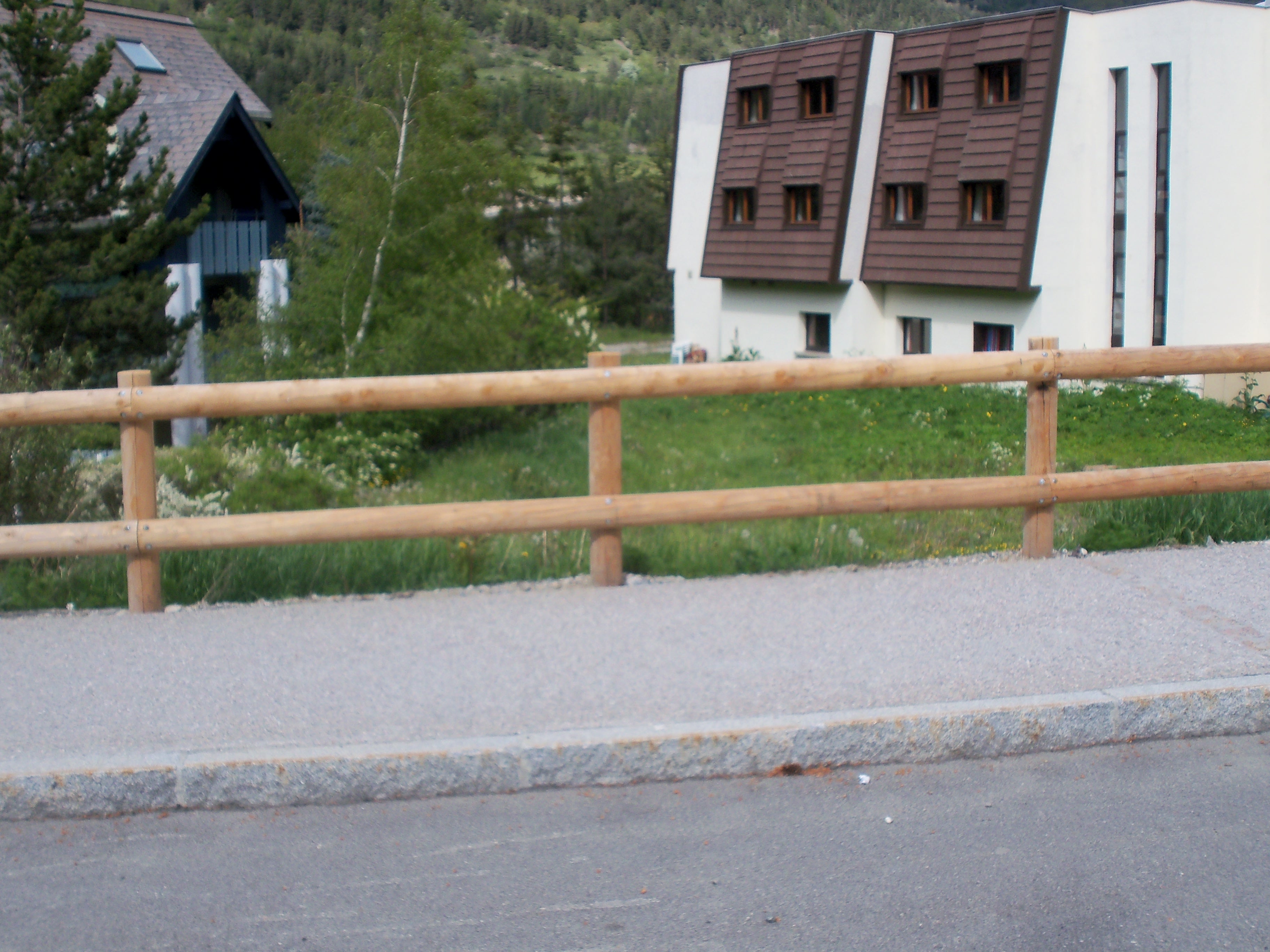 Taille des haies, arbustes