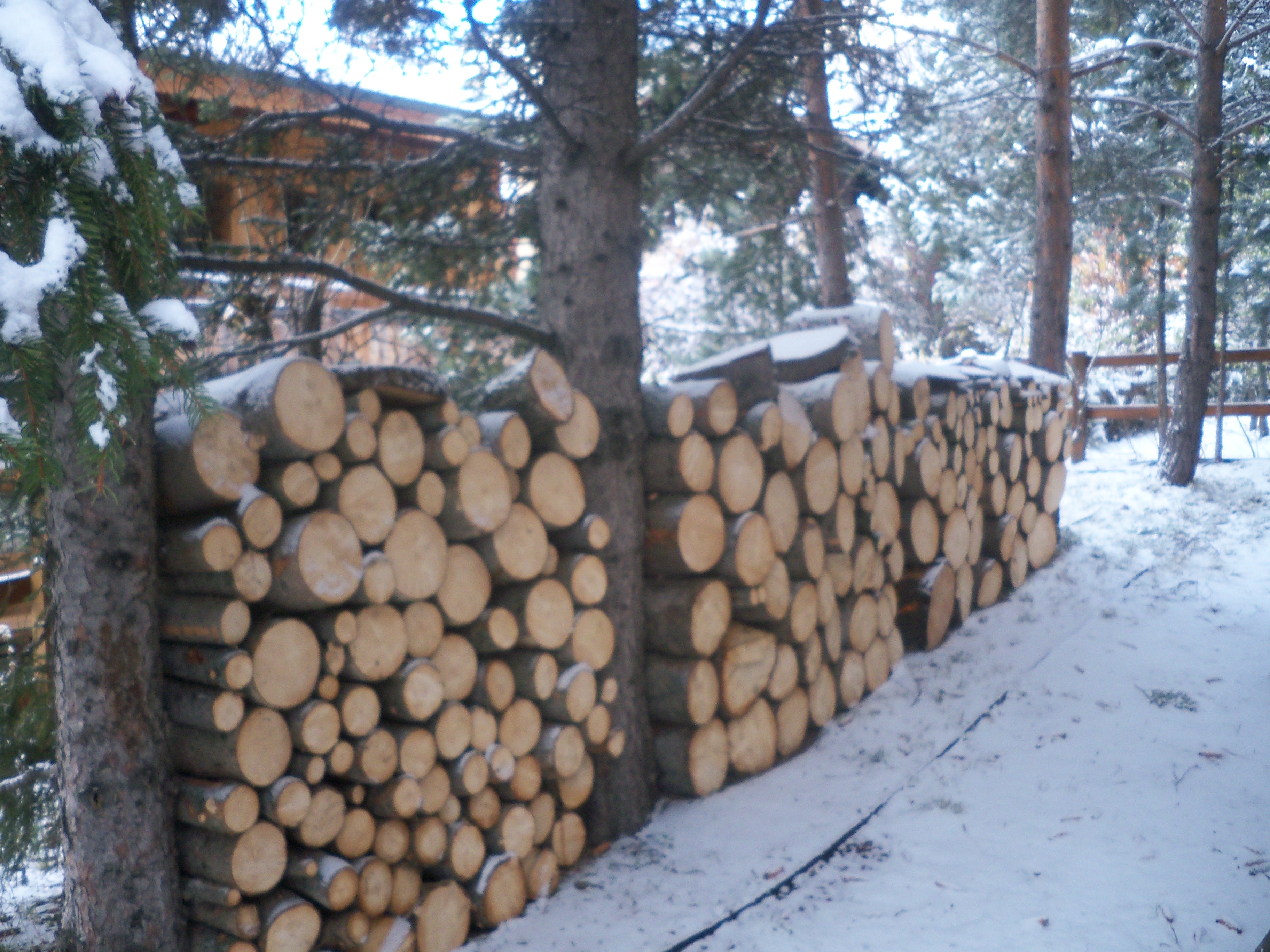 Elagage d’arbres