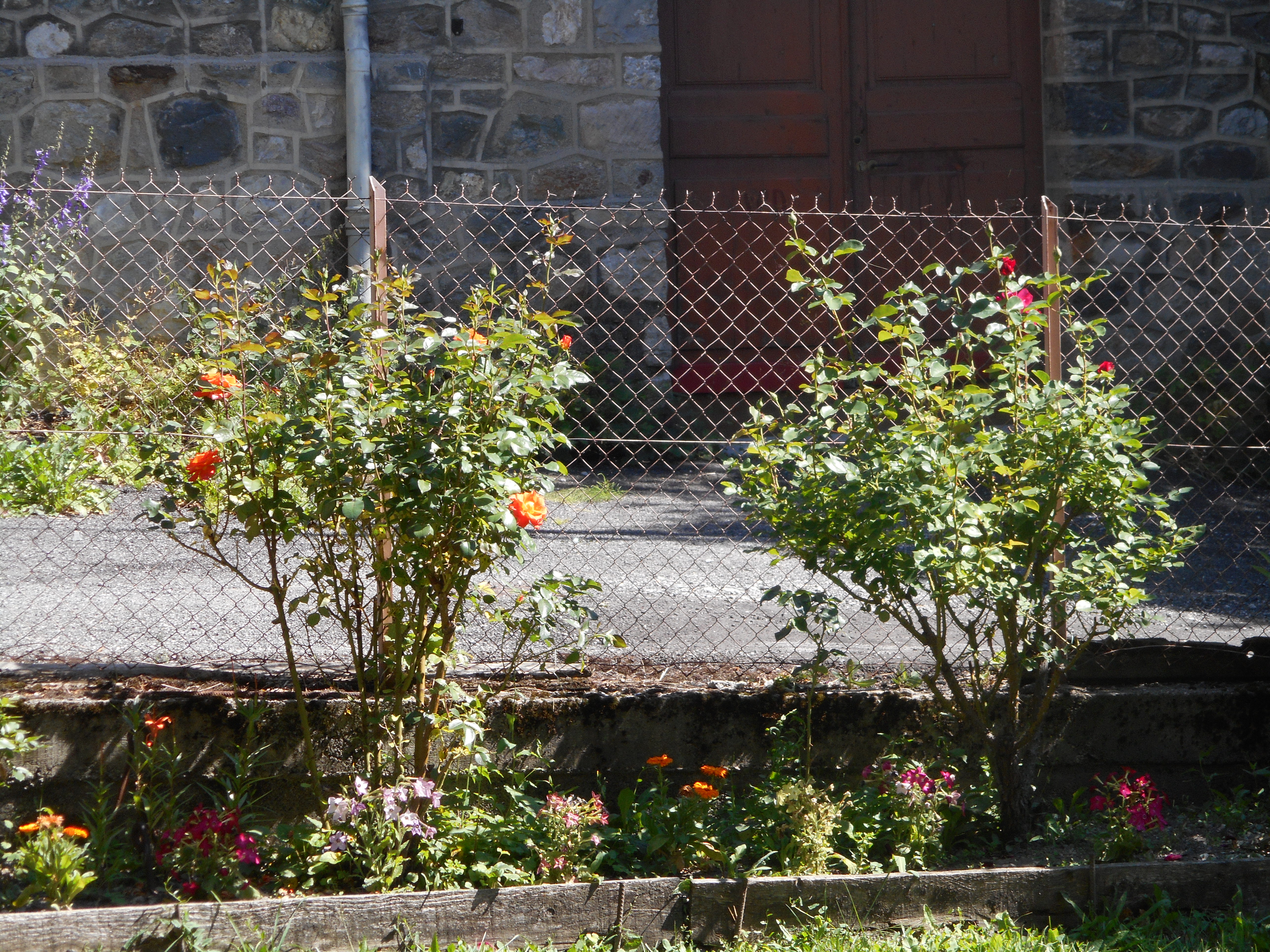 Etude, aménagement de jardins, plantations, clôtures, terrassements