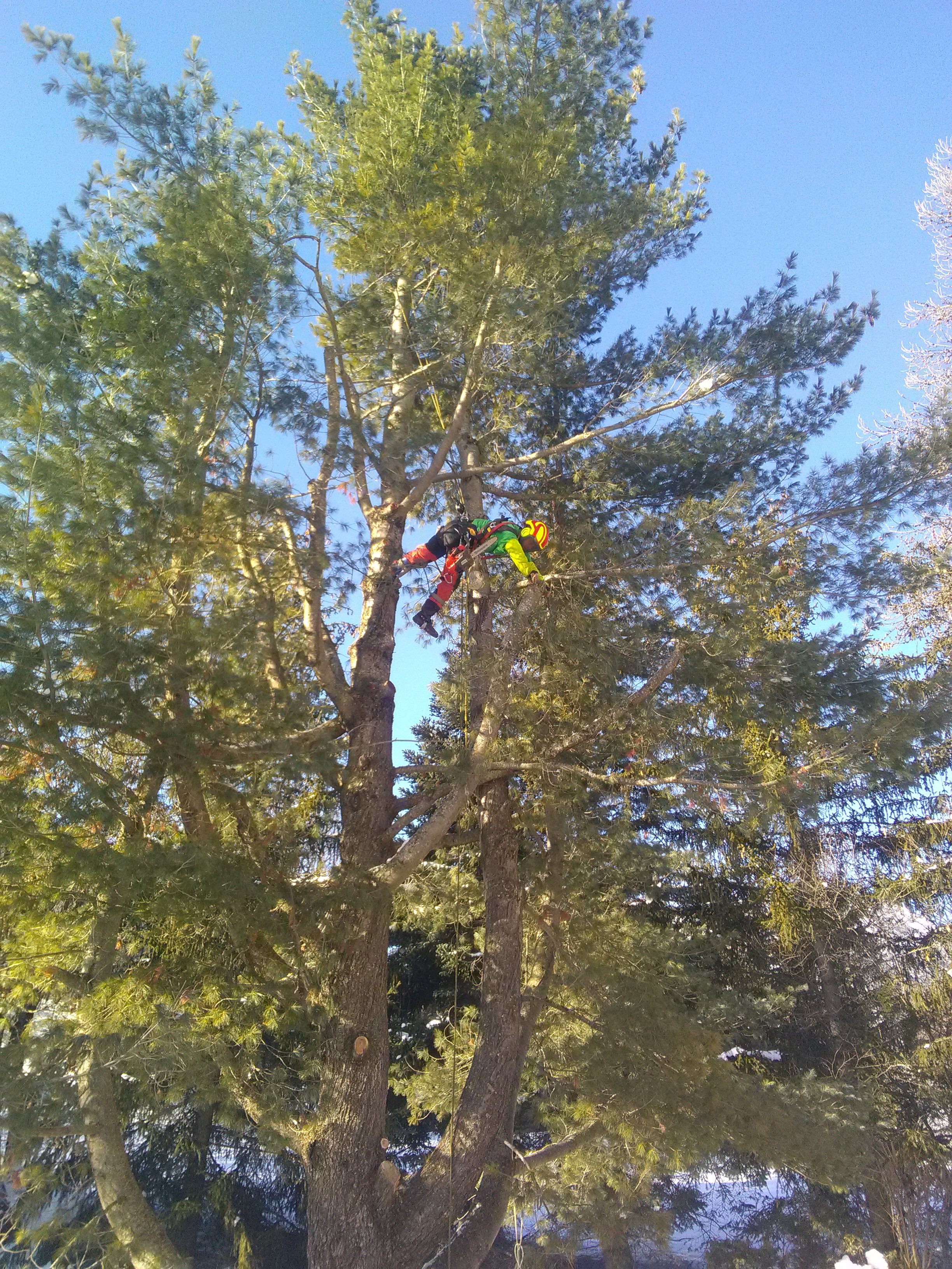 Votre spécialiste spécialisé dans les jardins de montagne près de Briançon