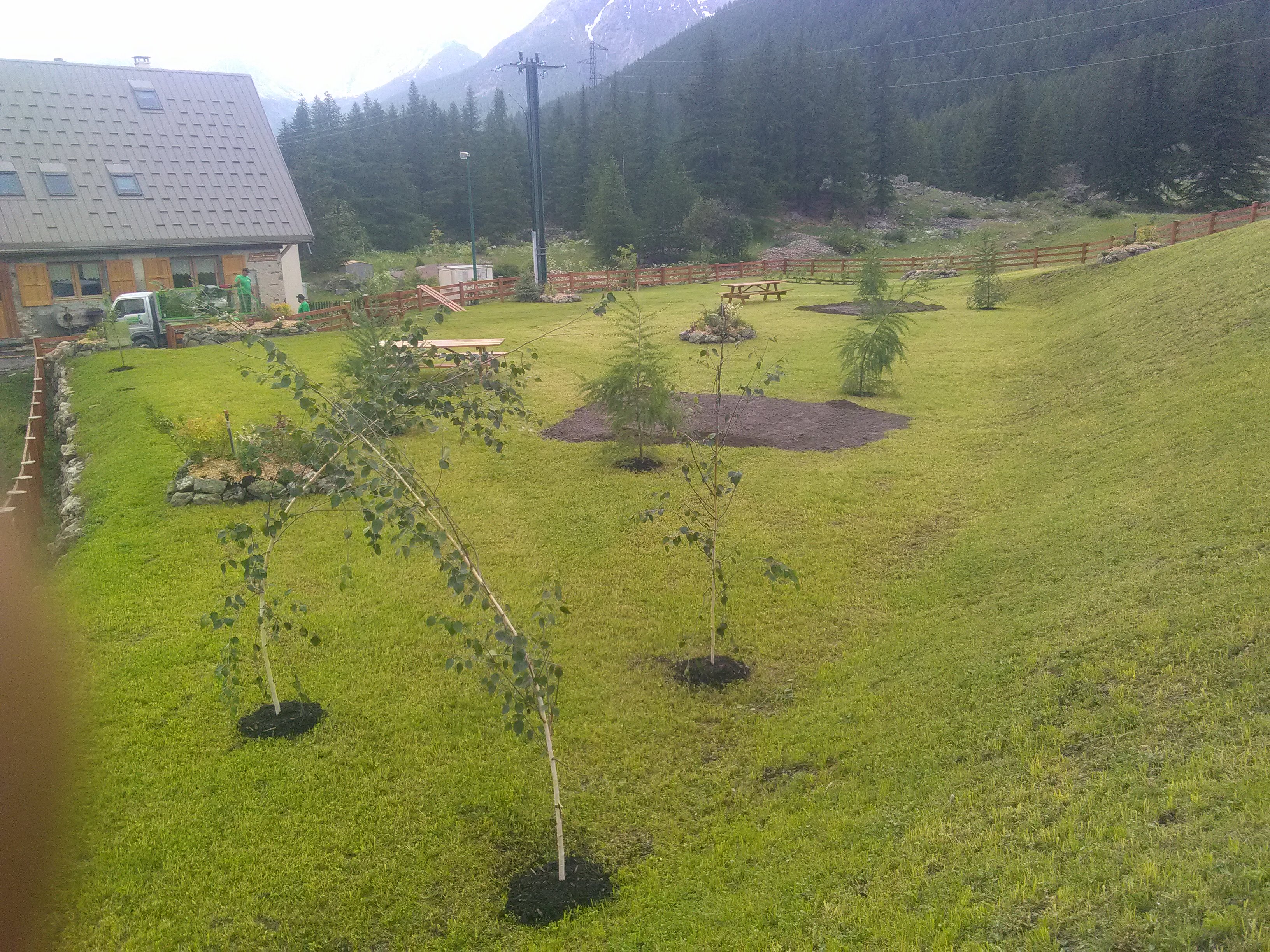 Plantation d’arbres, arbustes en haies