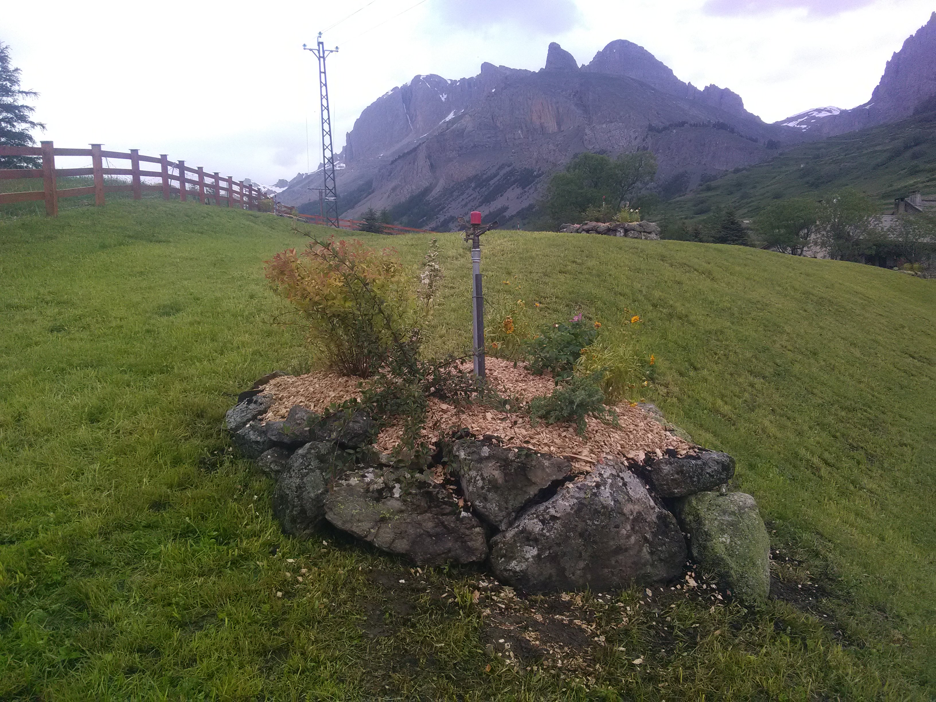 Plantation d’arbres, arbustes en haies