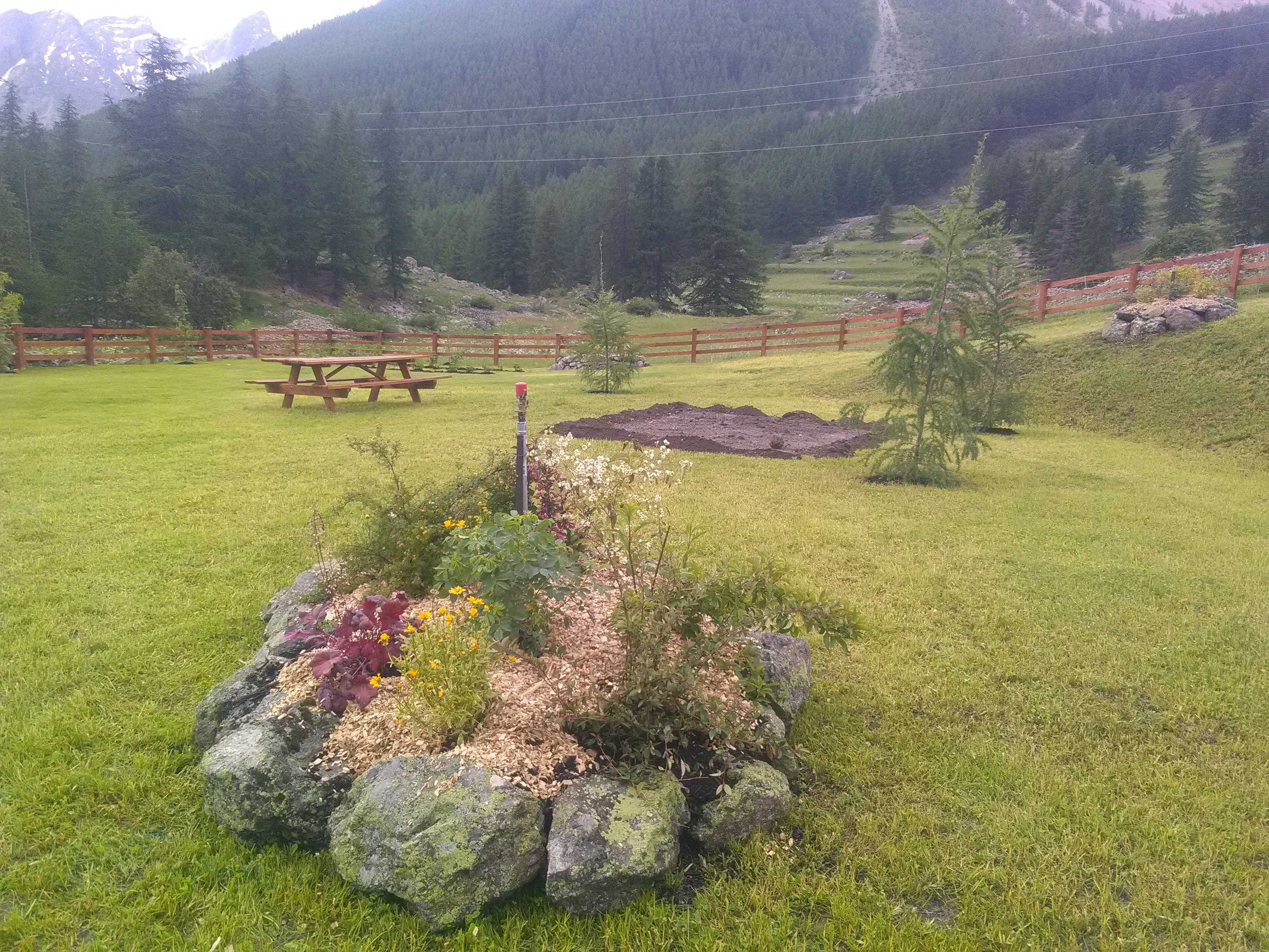 Plantation d’arbres, arbustes en haies